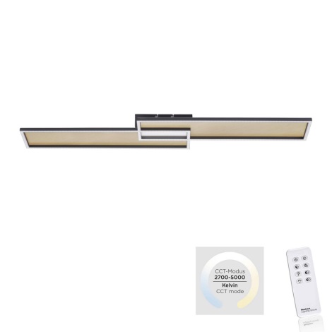 Paul Neuhaus 8371-18 - LED Stmívatelné stropní svítidlo AMARA LED/40W/230V + dálkové ovládání