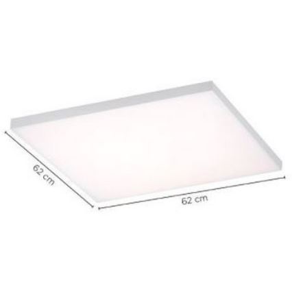 Paul Neuhaus 8492-16 - LED Stmívatelný přisazený panel FRAMELESS LED/35W/230V + dálkové ovládání