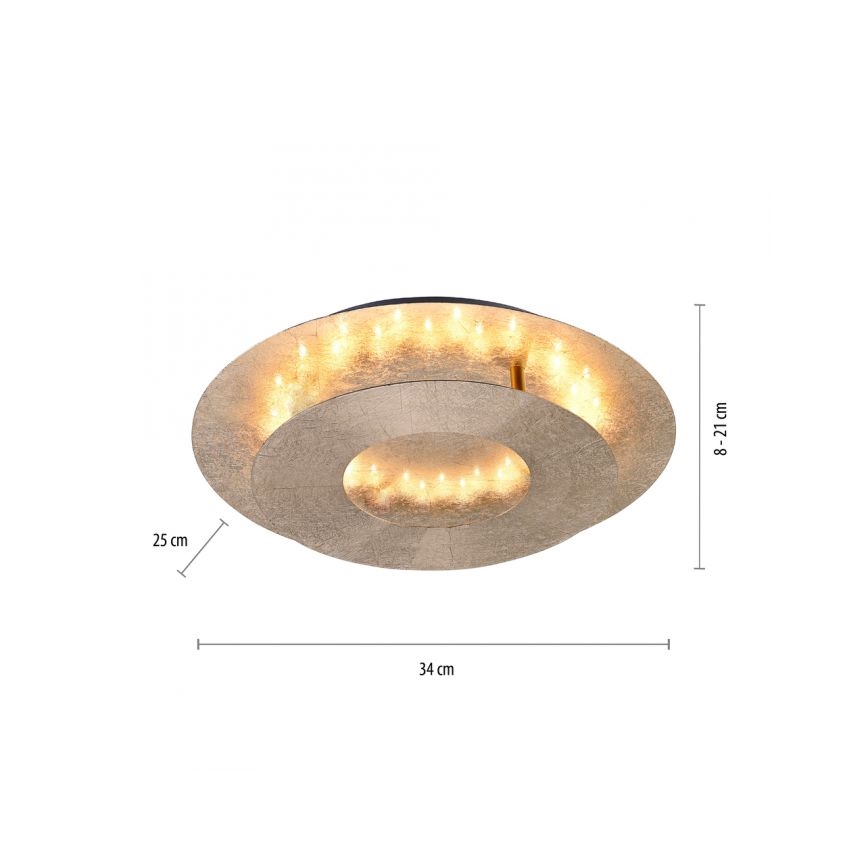 Paul Neuhaus 9011-12 - LED Stropní svítidlo NEVIS LED/6W/230V zlatá