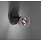 Paul Neuhaus 9013-18 - LED Nástěnné bodové svítidlo WIDOW 1xG9/3W/230V