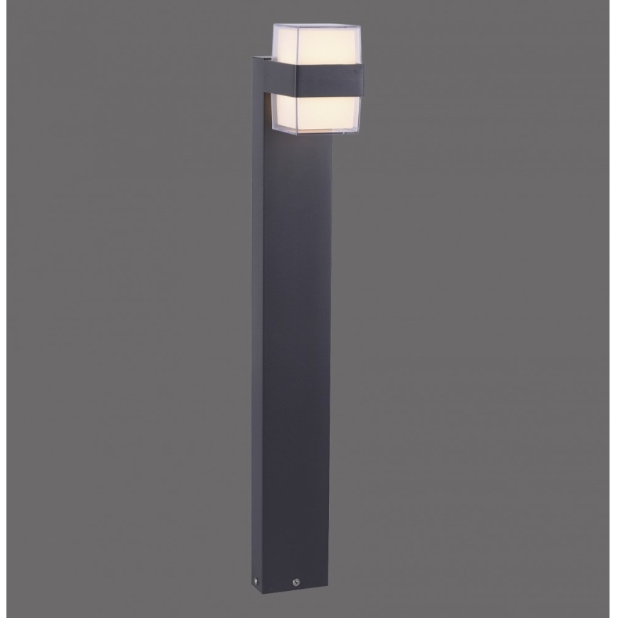 Paul Neuhaus 9481-13 - LED Venkovní lampa CARA LED/8W/230V IP44
