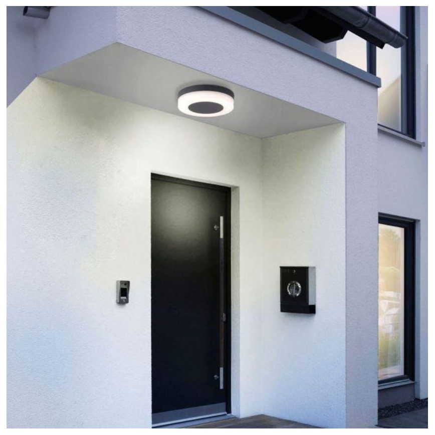Paul Neuhaus 9490-13 - LED Venkovní svítidlo FABIAN LED/12,6W/230V IP54