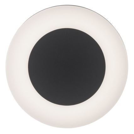 Paul Neuhaus 9490-13 - LED Venkovní svítidlo FABIAN LED/12,6W/230V IP54