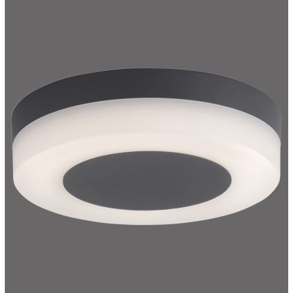 Paul Neuhaus 9490-13 - LED Venkovní svítidlo FABIAN LED/12,6W/230V IP54