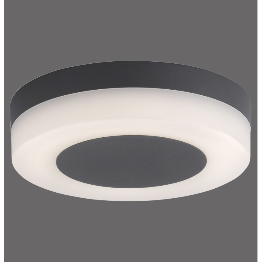 Paul Neuhaus 9490-13 - LED Venkovní svítidlo FABIAN LED/12,6W/230V IP54