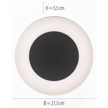 Paul Neuhaus 9490-13 - LED Venkovní svítidlo FABIAN LED/12,6W/230V IP54