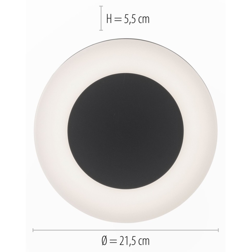 Paul Neuhaus 9490-13 - LED Venkovní svítidlo FABIAN LED/12,6W/230V IP54