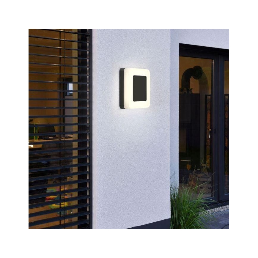Paul Neuhaus 9491-13 - LED Venkovní svítidlo FABIAN LED/12,6W/230V IP54