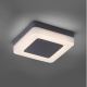 Paul Neuhaus 9491-13 - LED Venkovní svítidlo FABIAN LED/12,6W/230V IP54