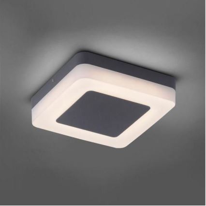 Paul Neuhaus 9491-13 - LED Venkovní svítidlo FABIAN LED/12,6W/230V IP54