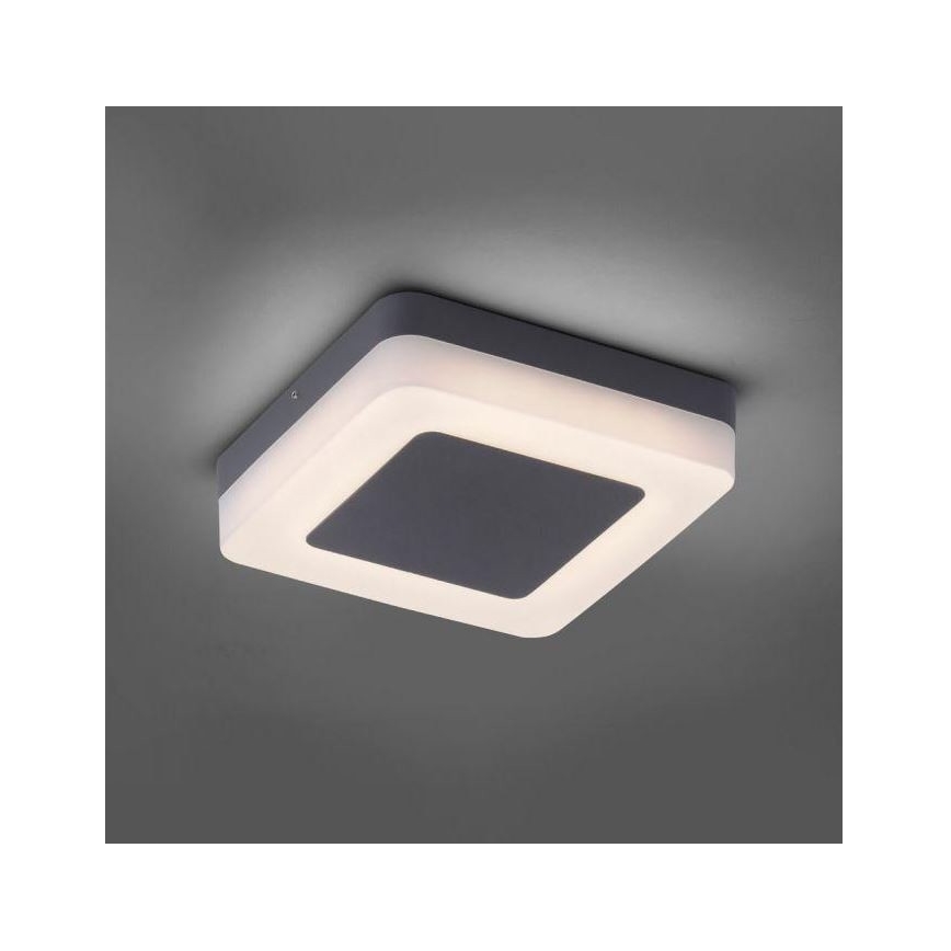 Paul Neuhaus 9491-13 - LED Venkovní svítidlo FABIAN LED/12,6W/230V IP54