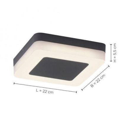 Paul Neuhaus 9491-13 - LED Venkovní svítidlo FABIAN LED/12,6W/230V IP54