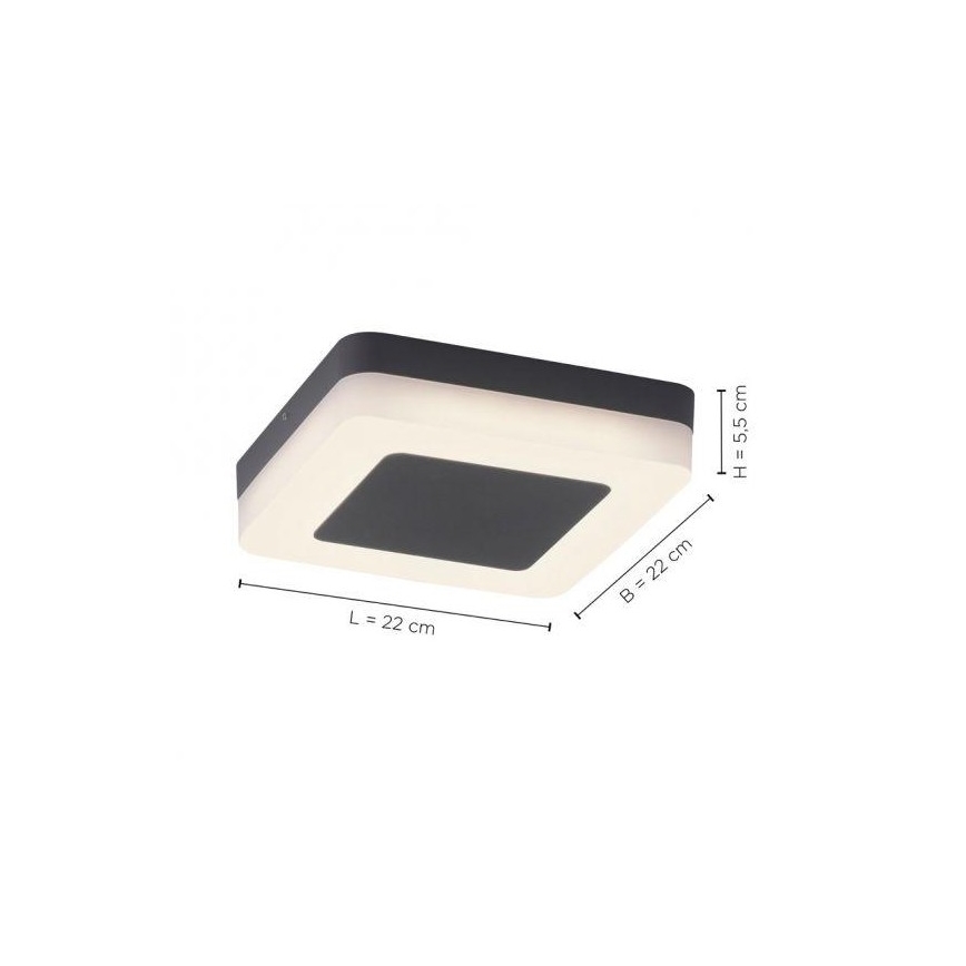 Paul Neuhaus 9491-13 - LED Venkovní svítidlo FABIAN LED/12,6W/230V IP54
