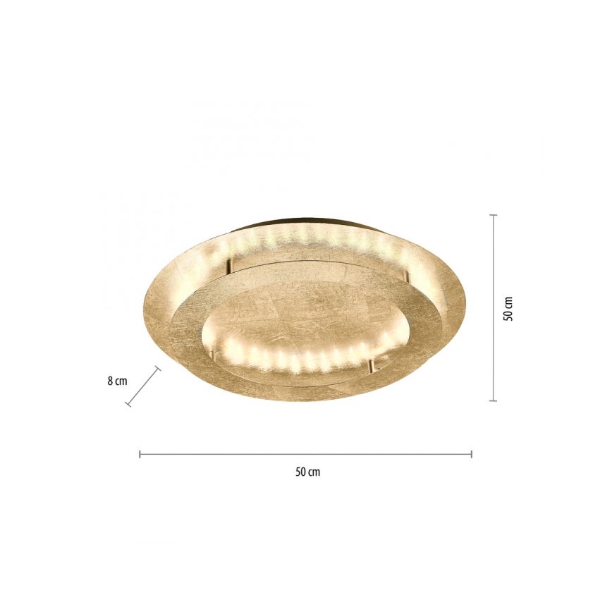 Paul Neuhaus 9621-12 - LED Stropní svítidlo NEVIS LED/24W/230V