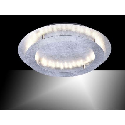 Paul Neuhaus 9621-21 - LED Stropní svítidlo NEVIS LED/24W/230V