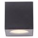 Paul Neuhaus 9698-13 - LED Venkovní nástěnné svítidlo ORANGE 2xLED/5,4W/230V IP65