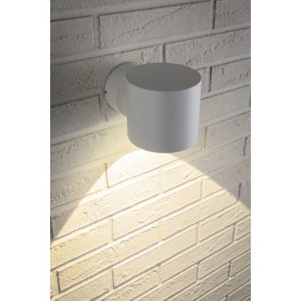 Paulmann 18007 - LED/5W IP44 Venkovní nástěnné svítidlo FLAME 230V