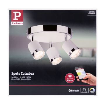 Paulmann 50077 - 3xLED/4,5W Stmívatelné bodové svítidlo COIMBRA 230V