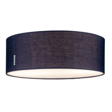 Paulmann 70951 - 2xE27/20W Stropní svítidlo MARI 230V modrá