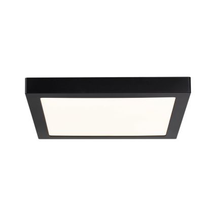 Paulmann 70985 - LED/22W Stropní svítidlo ABIA 230V