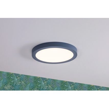 Paulmann 70987 - LED/22W Stropní svítidlo ABIA 230V modrá