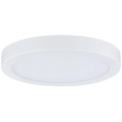 Paulmann 71021 - LED/22W Stropní svítidlo ABIA 230V bílá