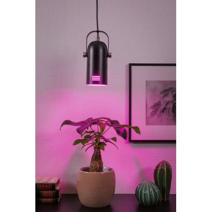 Paulmann 79766 - LED RGBW 1xE27/12W Lustr na lanku LAVEA 230V černá