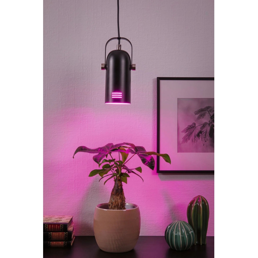 Paulmann 79766 - LED RGBW 1xE27/12W Lustr na lanku LAVEA 230V černá