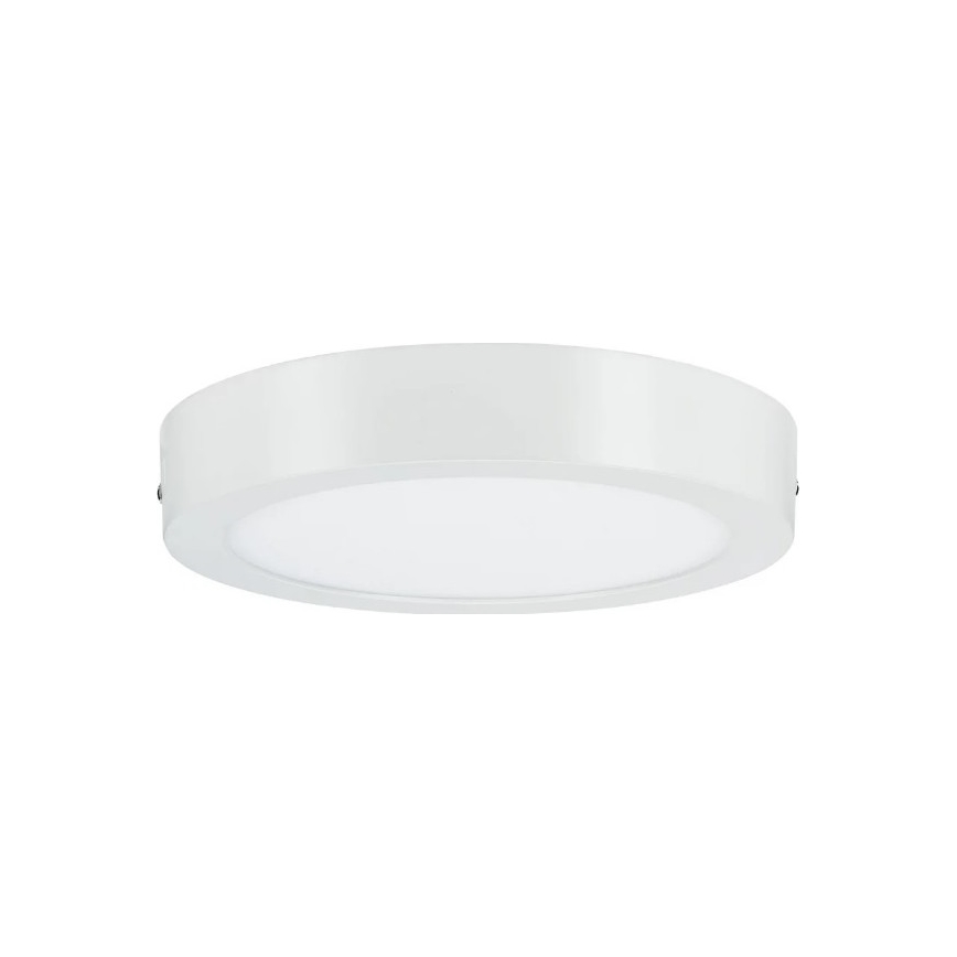Paulmann 79795 - LED/13W Stropní svítidlo CARPO 230V 2300/2500/3000K