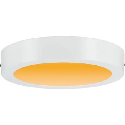 Paulmann 79795 - LED/13W Stropní svítidlo CARPO 230V 2300/2500/3000K