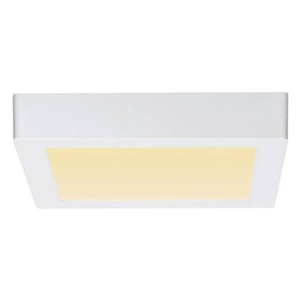 Paulmann 79796 - LED/13W Stropní svítidlo CARPO 230V 2300-3000K