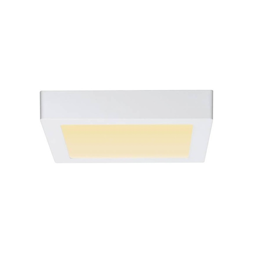 Paulmann 79796 - LED/13W Stropní svítidlo CARPO 230V 2300-3000K