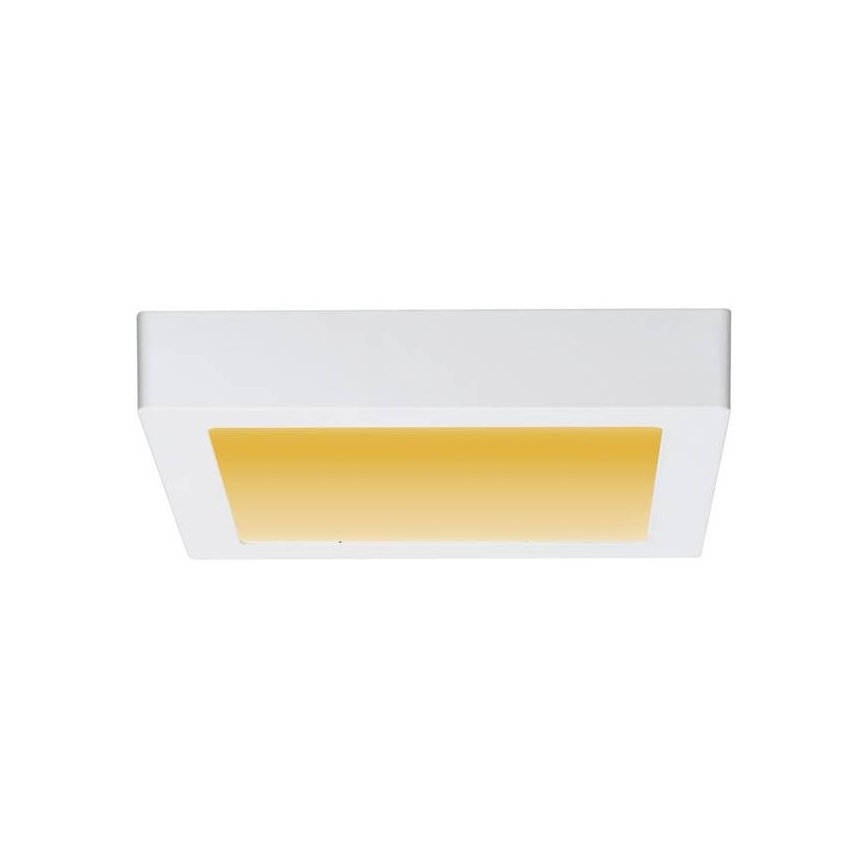 Paulmann 79796 - LED/13W Stropní svítidlo CARPO 230V 2300-3000K
