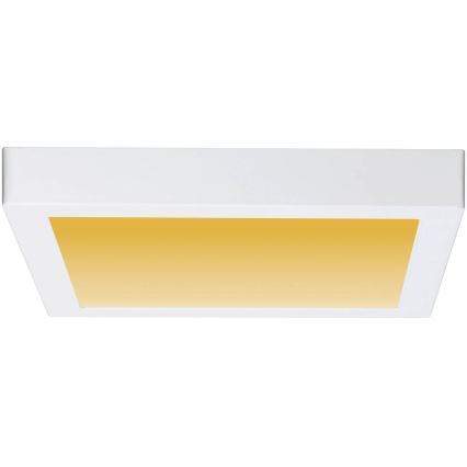 Paulmann 79801 - LED/13W Stropní svítidlo CARPO 230V 2300/2500/3000K