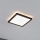 Paulmann 79920 - LED/11,2W Stmívatelný panel ATRIA 230V 3000K 19x19 cm černá