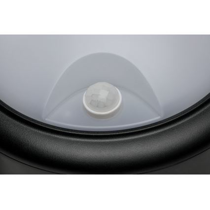 Paulmann 94187 - LED/15W IP44 Venkovní nástěnné svítidlo se senzorem 230V