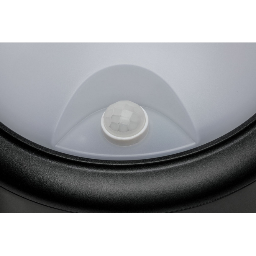 Paulmann 94187 - LED/15W IP44 Venkovní nástěnné svítidlo se senzorem 230V
