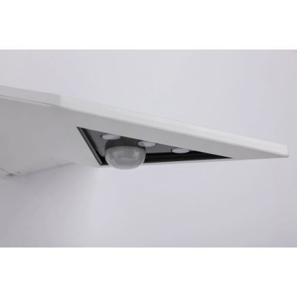 Paulmann 94244 - LED/1,2W IP44 Solární nástěnné svítidlo se senzorem YOKO 3,7V 1800 mAh bílá