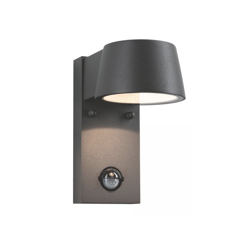 Paulmann 94453 - LED/6W IP44 Venkovní nástěnné svítidlo se senzorem CAPEA 230V