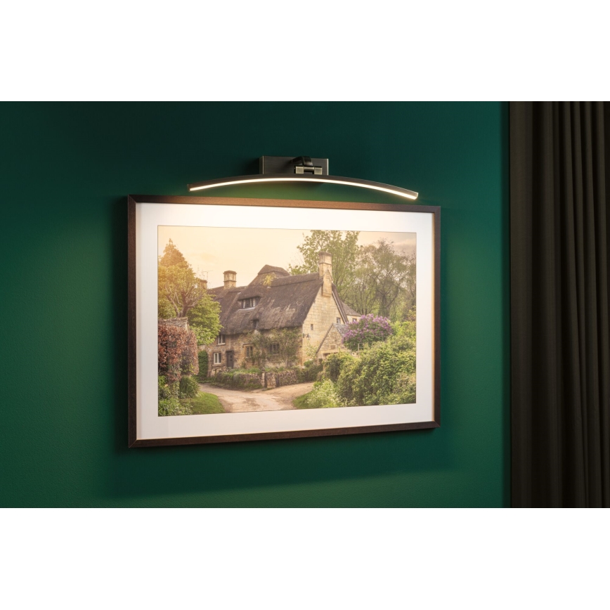 Paulmann 95561 - LED/10W Obrazové svítidlo BENTO 230V 50 cm mosaz