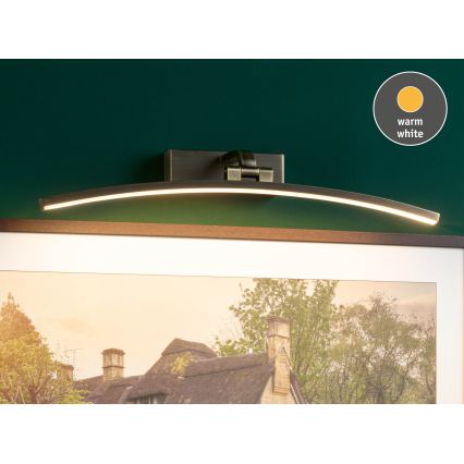 Paulmann 95561 - LED/10W Obrazové svítidlo BENTO 230V 50 cm mosaz