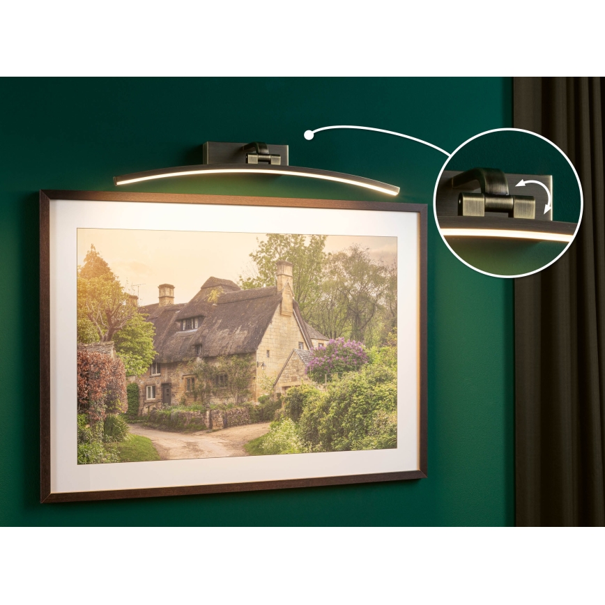 Paulmann 95561 - LED/10W Obrazové svítidlo BENTO 230V 50 cm mosaz