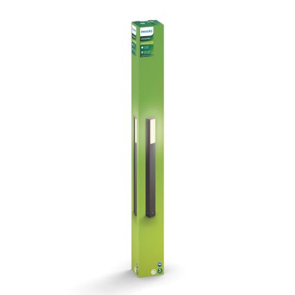 Philips 16489/93/P0 - LED Venkovní lampa MYGARDEN STRATOSPHERE 2xLED/4,5W/230V IP44