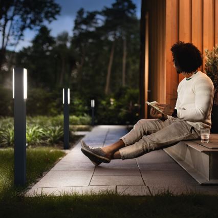 Philips 16489/93/P3 - Venkovní sloupkové světlo MYGARDEN STRATOSPHERE 2xLED/4,5W