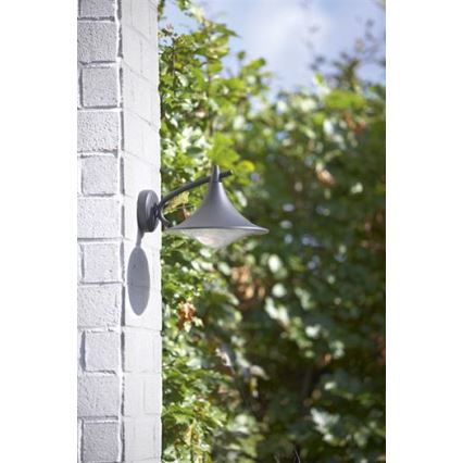Philips 17207/93/16 - Venkovní nástěnné svítidlo MYGARDEN CEDAR 1xE27/15W/230V