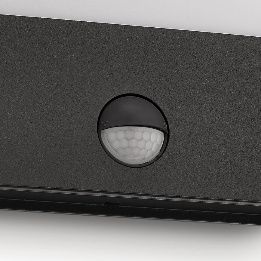 Philips 17274/93/16 - LED venkovní osvětlení s čidlem MYGARDEN RACCOON 1xLED/3W IP44