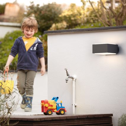 Philips 17337/93/PN - Venkovní nástěnné svítidlo MYGARDEN HEDGEHOG E27/42W