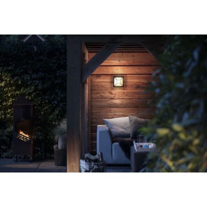 Philips 17393/30/P0 - LED Venkovní nástěnné svítidlo MYGARDEN DROSERA LED/12W/230V