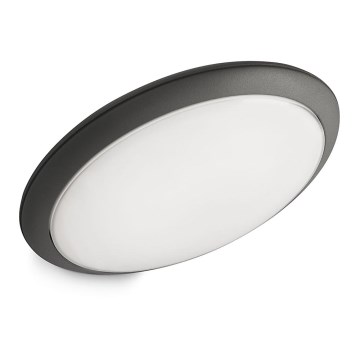 Philips 17822/93/16 - Solární LED osvětlení RAVEN 1xLED/3,5W/230V IP44