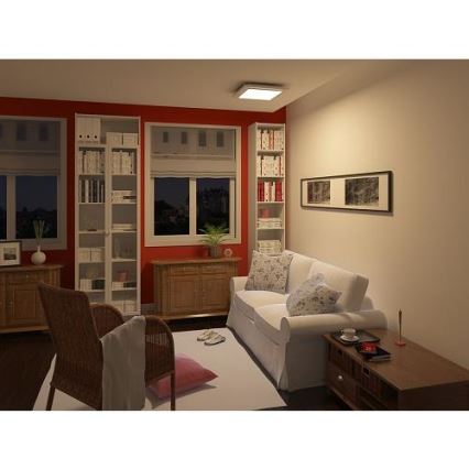 Philips 30207/31/16 - Stropní svítidlo INSTYLE CANDACE 1x2GX13/40W/230V